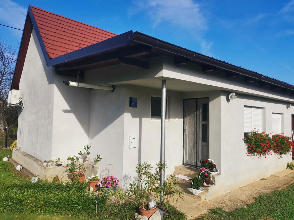 House Zoki * Kutina