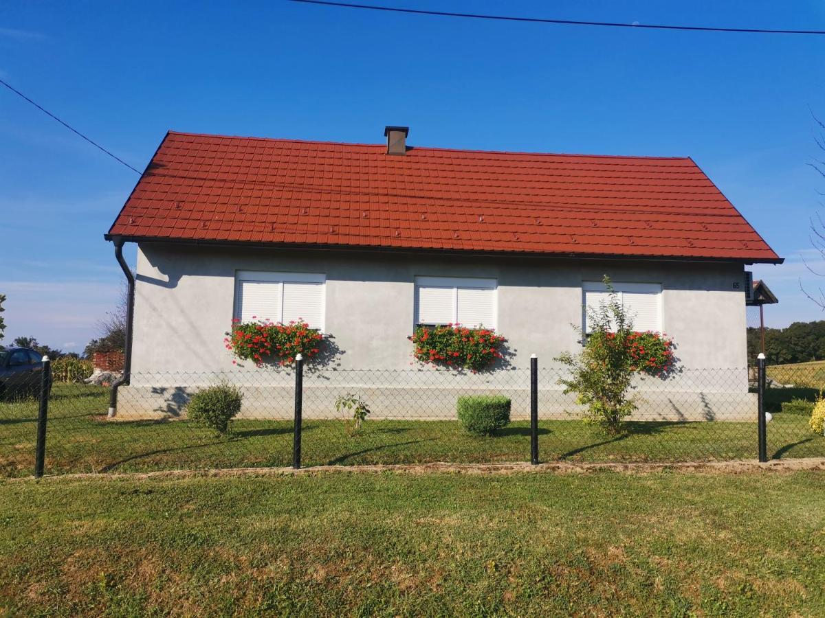 Apartment House Zoki *